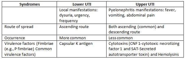 Enterobacteriaceae (E. Coli, Klebsiella, Proteus, Shigella, Salmonella, Yersinia) Chapter Notes | Microbiology - NEET PG