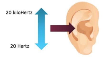 Sound Class 9 Notes Science Chapter 11
