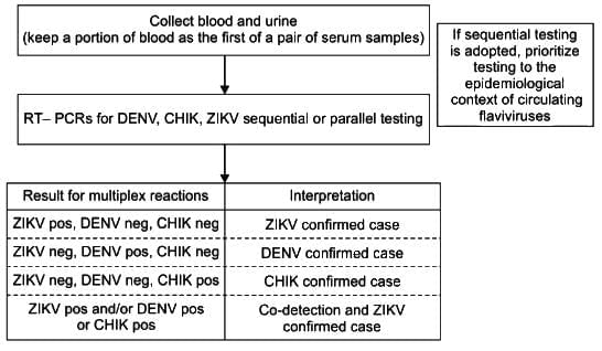 Arboviruses, Picornaviruses and Rabies Virus Chapter Notes | Microbiology - NEET PG