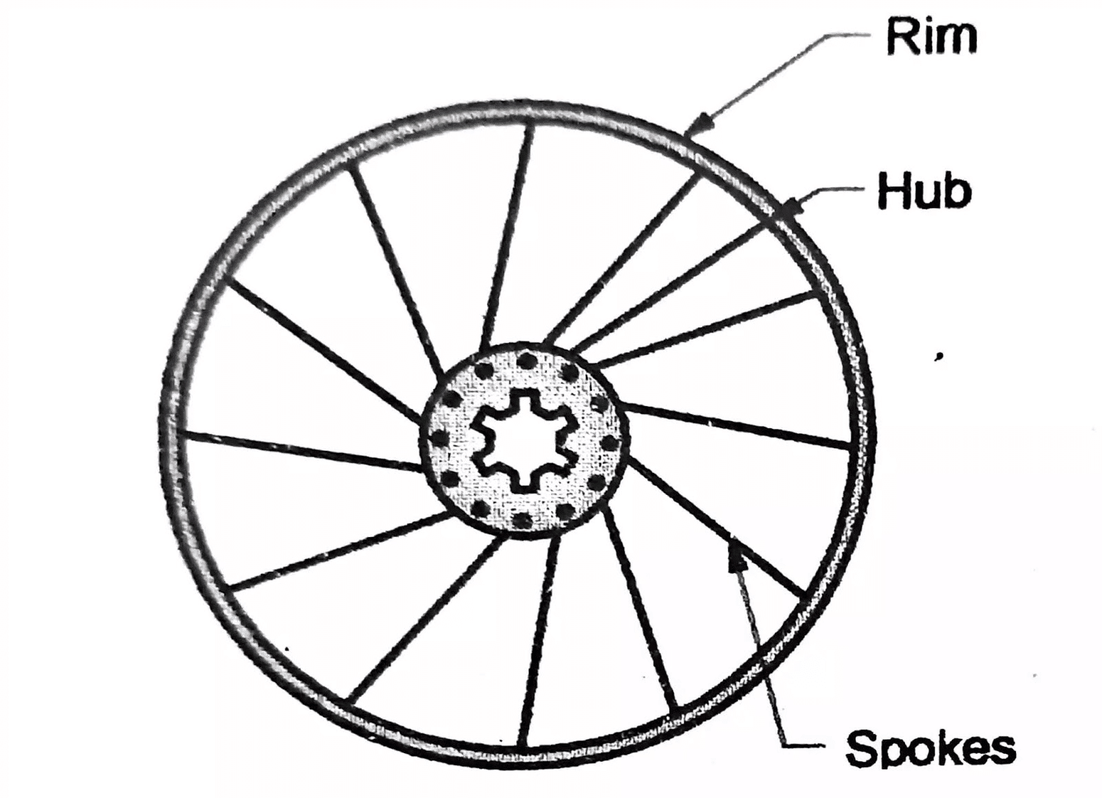 Short Answer Questions: Invention of Wheel | EVS for Class 2