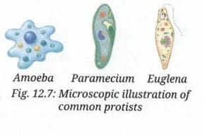 Activity 12.5: Let us make