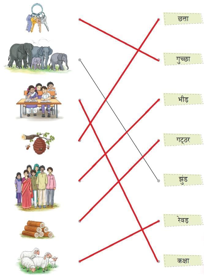 काजीरंगा राष्ट्रीय उद्यान की यात्रा NCERT Solutions | Hindi Class 5 वीणा - New NCERT