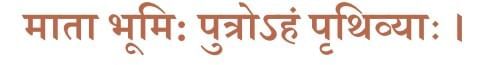 Somebody`s Mother NCERT Solutions | English Poorvi Class 8 - New NCERT