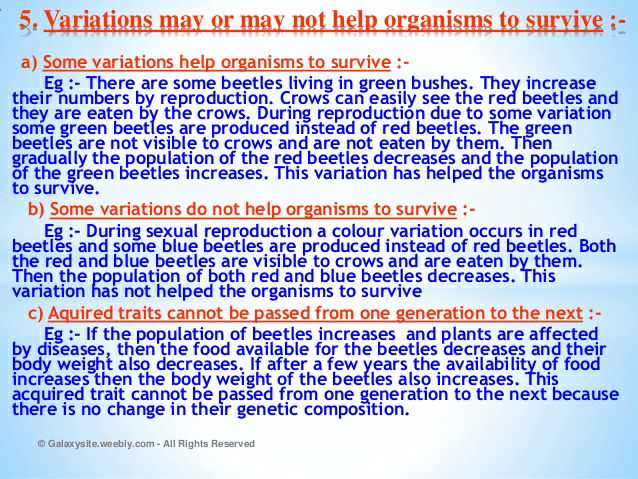 Notes of heredity and evolution - Class 10