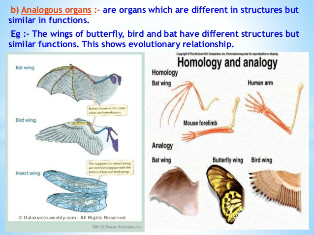 Notes of heredity and evolution - Class 10