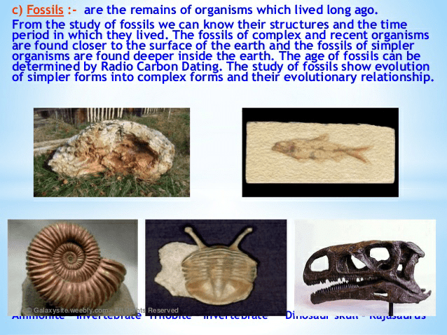 Notes of heredity and evolution - Class 10