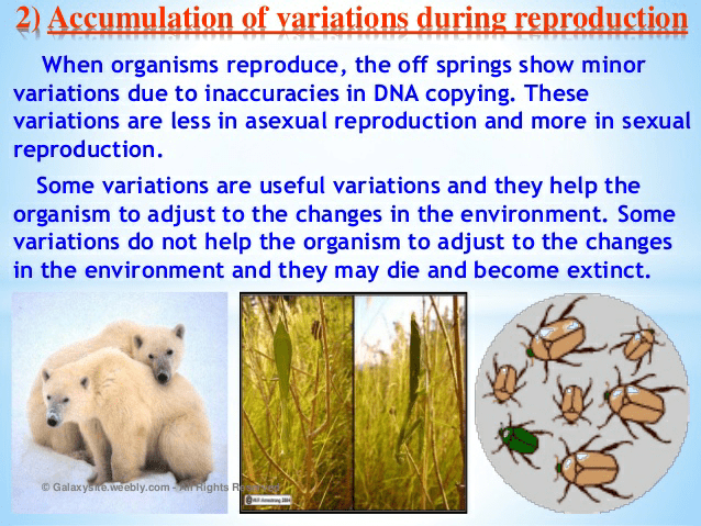 Notes of heredity and evolution - Class 10