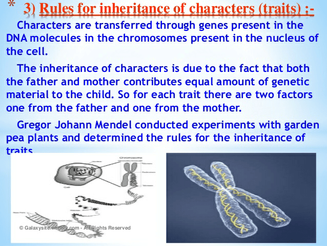 Notes of heredity and evolution - Class 10