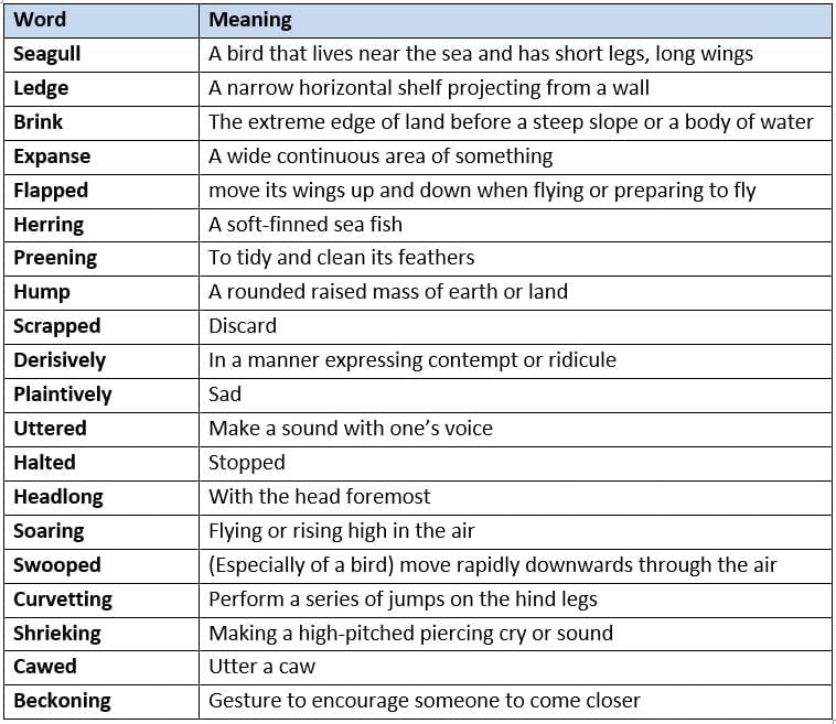 Two Stories about Flying - 2 Summary Class 10 English First Flight Chapter 3