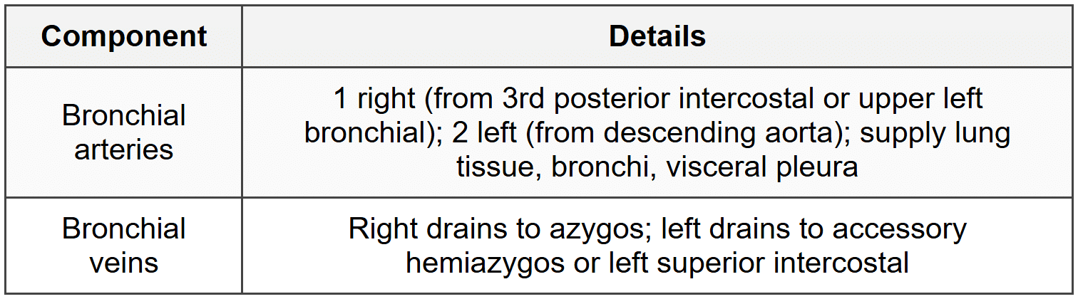 4.3.3 Bronchial Circulation