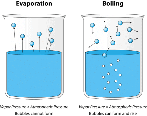 Particulate Nature of Matter Chapter Notes | Science Curiosity Class 8 - New NCERT
