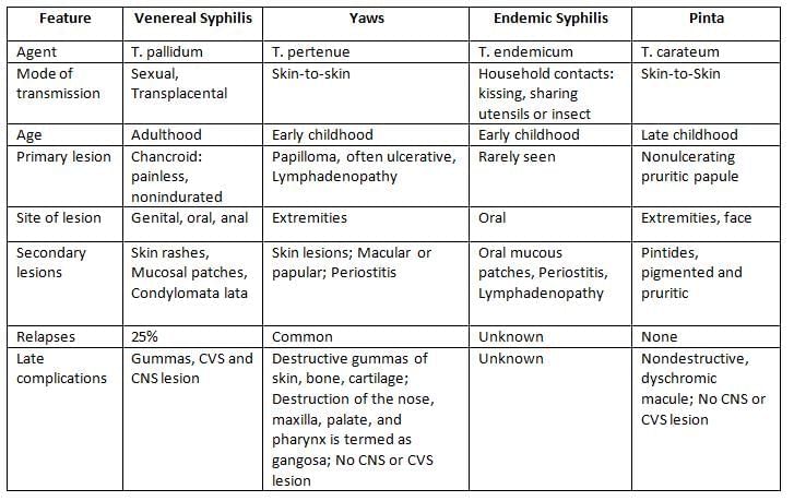 Spirochetes Chapter Notes | Microbiology - NEET PG