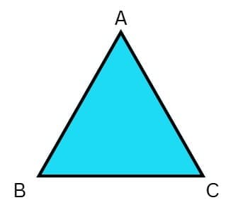 Section C (8 × 3 = 24 Marks)