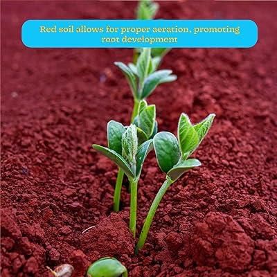 Revision Notes: Soils in India | Geography Class 10 ICSE