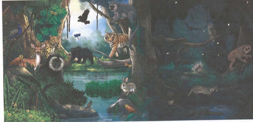 Activity 12.1: Let us compare and classify