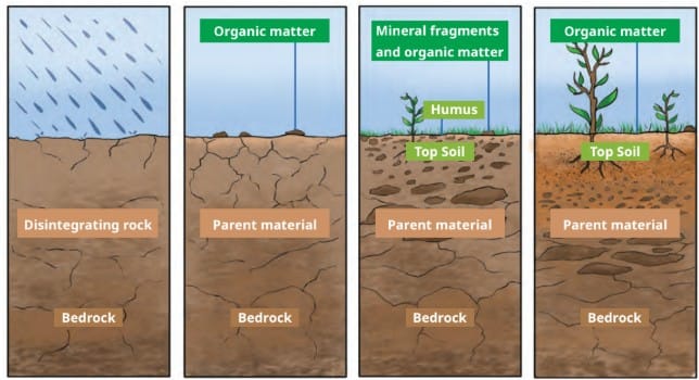 How is Soil Formed?