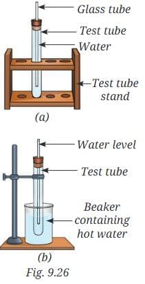 The Amazing World of Solutes, Solvents, and Solutions NCERT Solutions | Science Curiosity Class 8 -  New NCERT