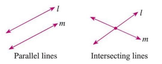 Fundamental Concepts of Geometry Chapter Notes | Mathematics Class 6 ICSE