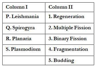 Class 10 Science Chapter 7 Previous Year Questions - How do Organisms Reproduce?