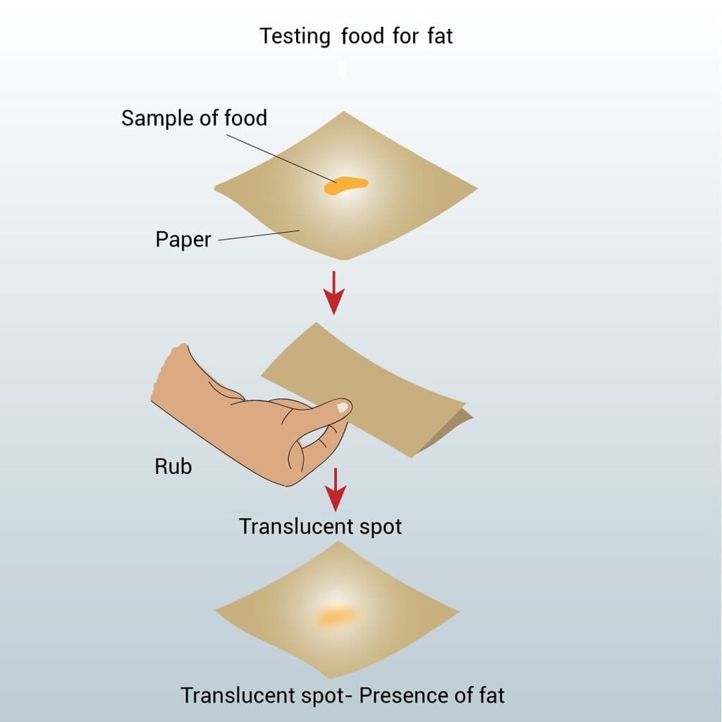 2. Test for Fats