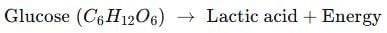 Class 10 Science Chapter 5 Previous Year Questions - Life Processes