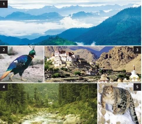 Geographical Diversity of India Class 7 Notes Social Science Chapter 1 Free PDF