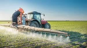 Revision Notes: Agriculture in India I-Food Crops | Geography Class 10 ICSE