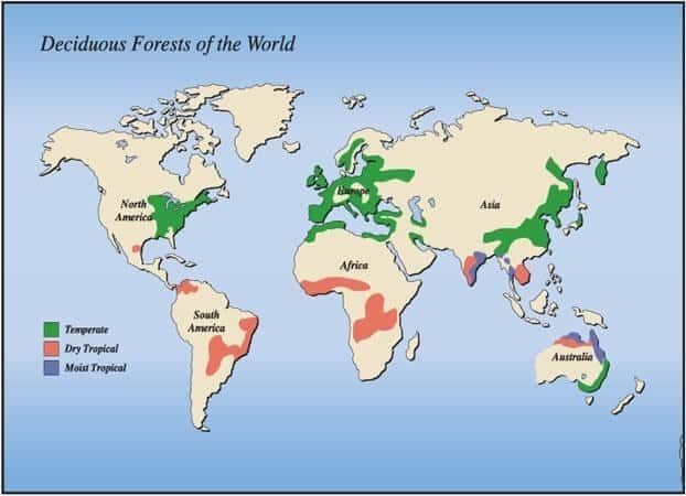 Climatic Regions of the World | Geography for UPSC CSE