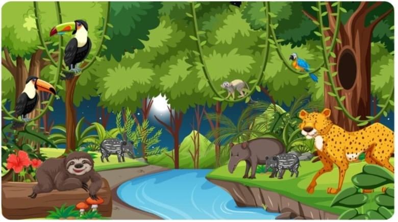 Olympiad Notes: Forest | Science Olympiad Class 6