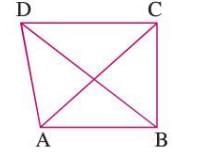 Triangles and Quadrilaterals Chapter Notes | Mathematics Class 6 ICSE