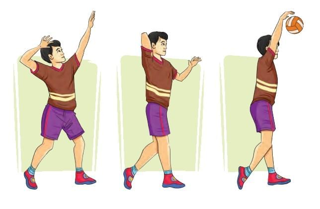 Fundamental Skills of Sports – Volleyball Chapter Notes | Physical Education for Grade 6