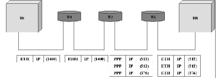 IP (Internet Protocol) | Computer Networks - Computer Science Engineering (CSE)