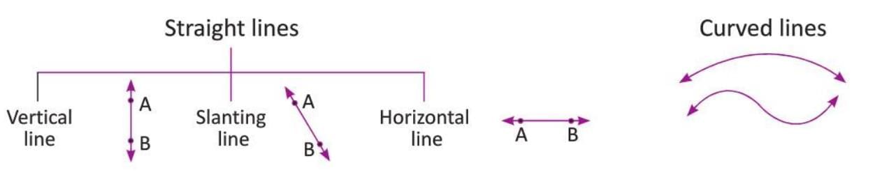 Geometry Chapter Notes | Mathematics for Grade 5