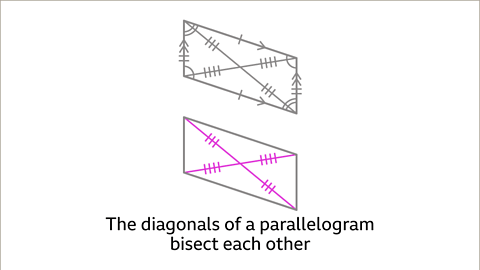 Properties of Quadrilaterals - Year 7