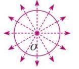 Symmetry Chapter Notes | Mathematics Class 6 ICSE