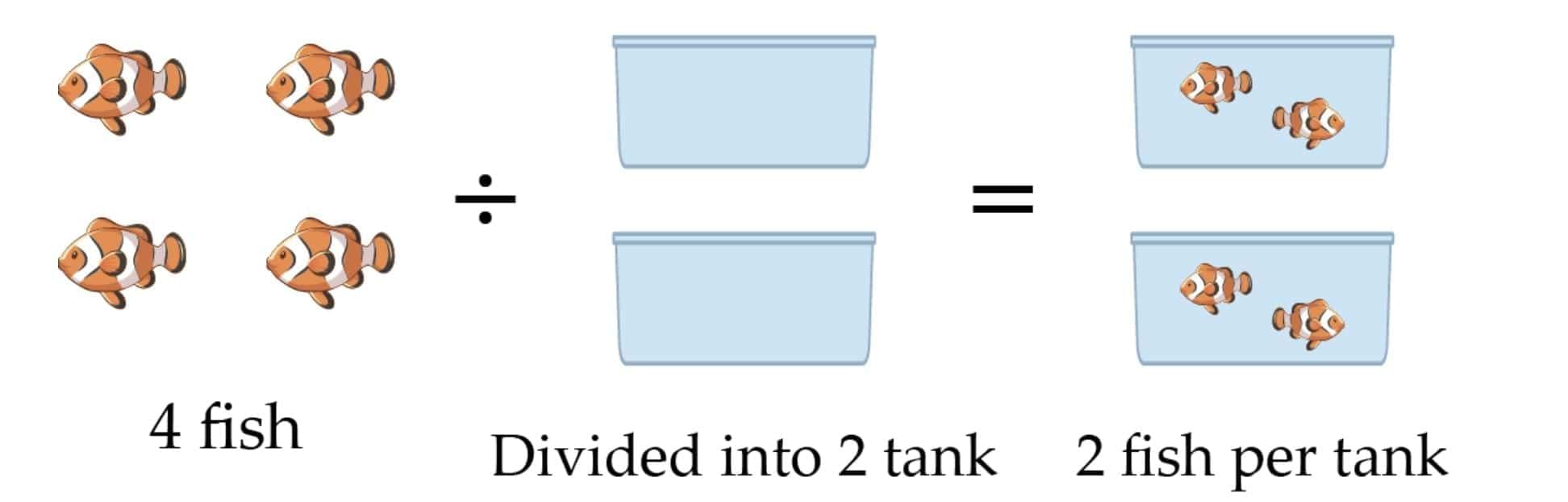 Important Formulas: Coconut Farm | Mathematics (Maths Mela) Class 5 - New NCERT