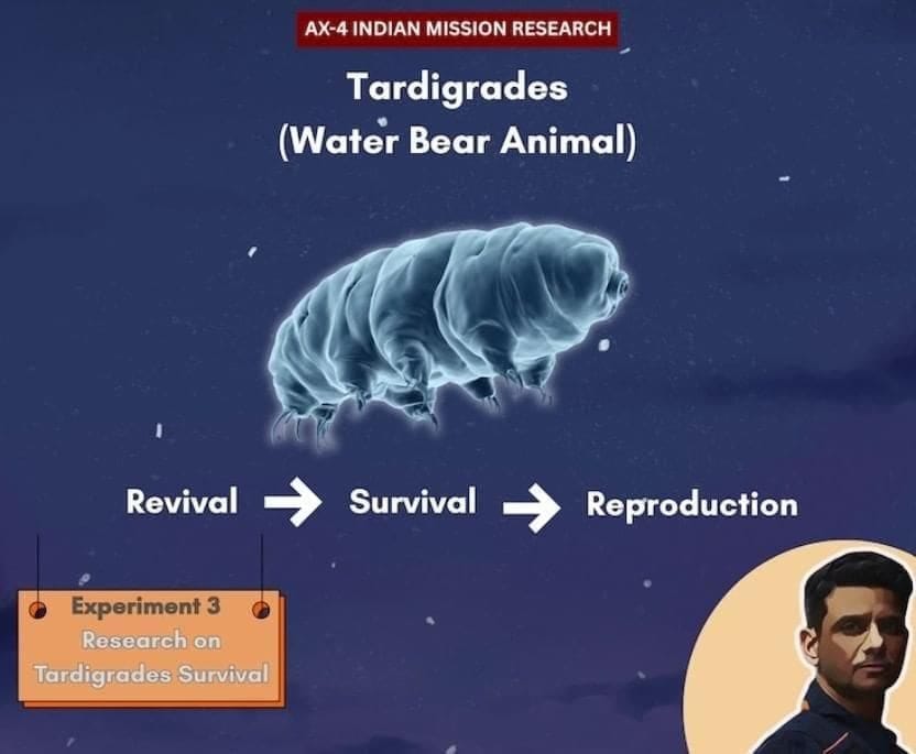 Voyager Tardigrades Experiment