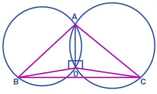 Unit Test (Solutions): Circles | Mathematics (Maths) Class 9