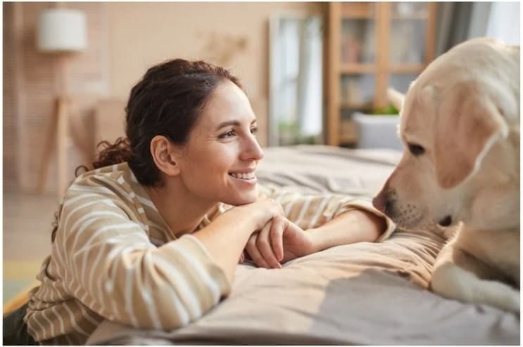 Solved Essay: If Animals Could Talk | Essays for Class 6