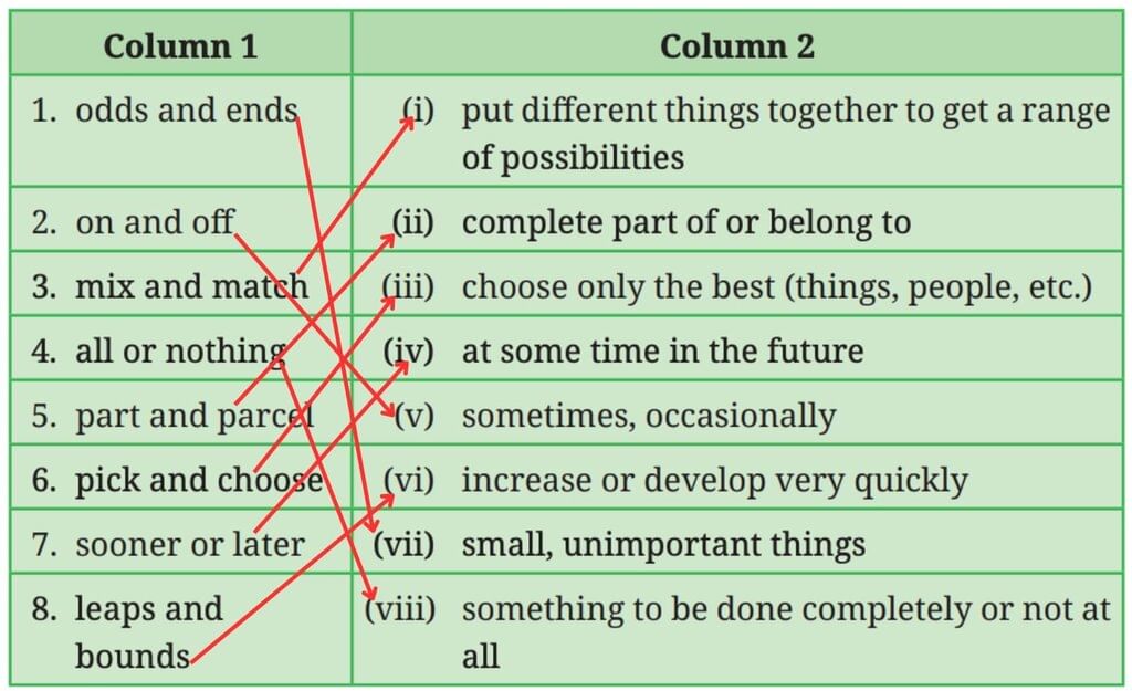 Spectacular Wonders NCERT Solutions | English Poorvi Class 8 - New NCERT