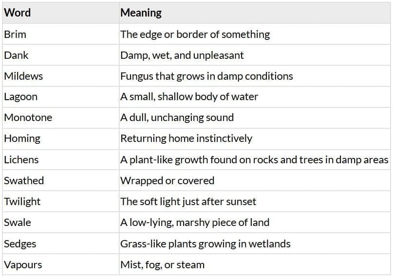Summary: Marshlands | Gul Mohar Class 8: Book Solutions, Summaries & Worksheets