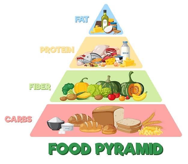 Notes: Food & Nutrition | EVS & Pedagogy Paper 1 for CTET & TET Exams - CTET & State TET