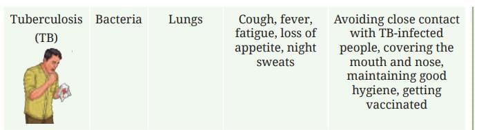 NCERT Based Activity: Health: The Ultimate Treasure | Science Curiosity Class 8 -  New NCERT