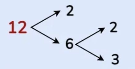 Important Formulas: Animal Jumps | Mathematics (Maths Mela) Class 5 - New NCERT