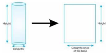 Symmetry Chapter Notes | Mathematics Class 6 (SSC Board)