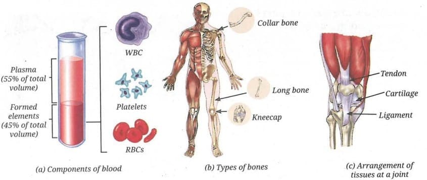 Activity 3.3: Let us perform