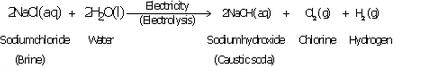 Lakhmir Singh & Manjit Kaur Solutions: Acids, Bases & Salts - 3 | Science Class 10
