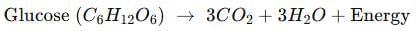 Class 10 Science Chapter 5 Previous Year Questions - Life Processes