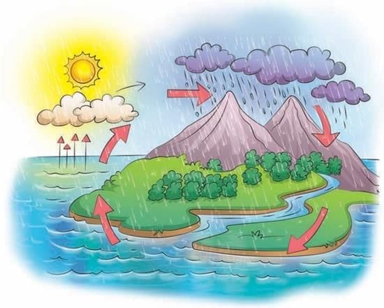 Water—The Essence of Life Chapter Notes | Our Wondrous World  Class 5 - New NCERT