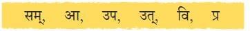 अल्पानामपि वस्तूनां संहतिः कार्यसाधिका NCERT Solutions | Sanskrit  (Deepakam) Class  8  -  New  NCERT - Class 8